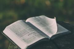 „Verlasst euch nicht auf Wunder, rezitiert Psalmen“: aufgeschlagene Bibel