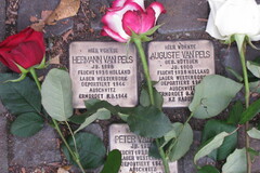 Erinnerung an eine zerstörte erste Liebe - Gedanken zum 9. November 2022: Stolpersteine für die Familie van Pels in der Martinistraße 67A