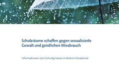 Schutzräume schaffen gegen sexualisierte Gewalt und geistlichen Missbrauch - Informationen zum Schutzprozess